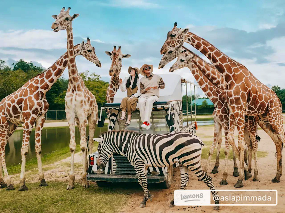 Kanchanaburi Safari Park Ticket and River Kwai Bridge Day Tour Review